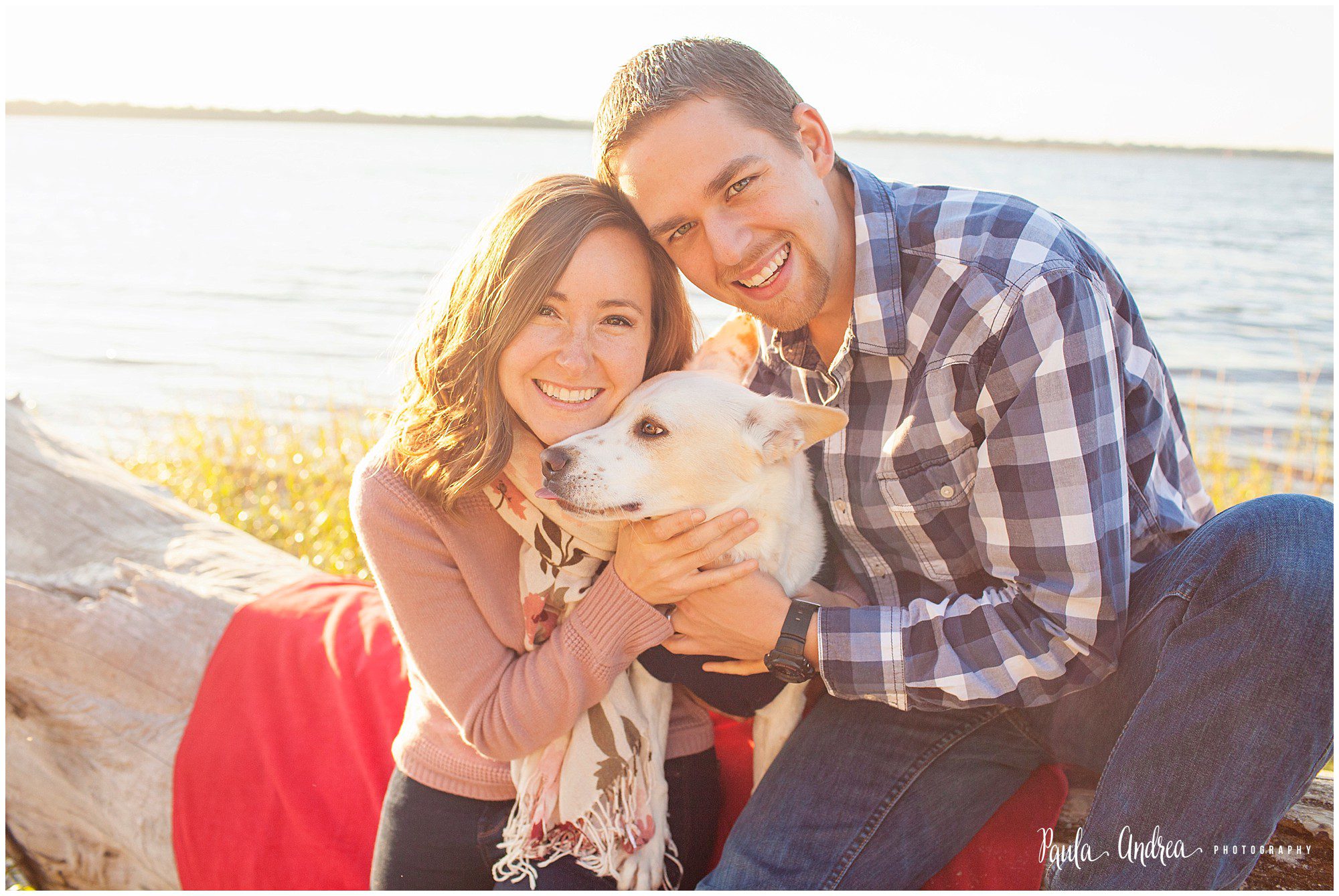 carolina beach state park family portraits with your dog christmas card
