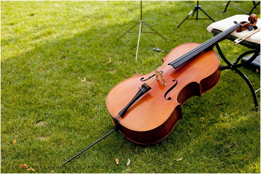 violin, garden wedding, four seasons firenze violin, violinist